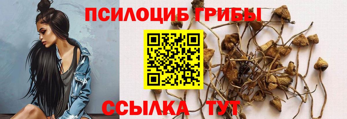 Псилоцибиновые грибы GOLDEN TEACHER  Вход с VPN  Омск  как найти наркотики  Псилоцибиновые грибы ЛСД 
